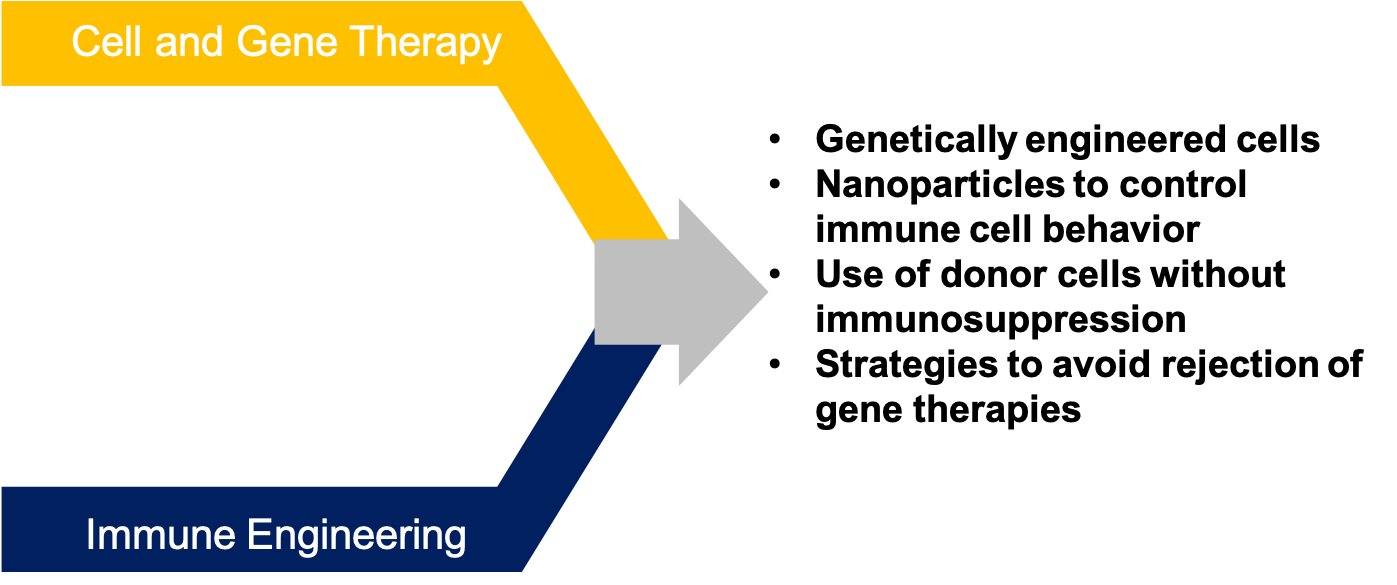 Synergy Diagram